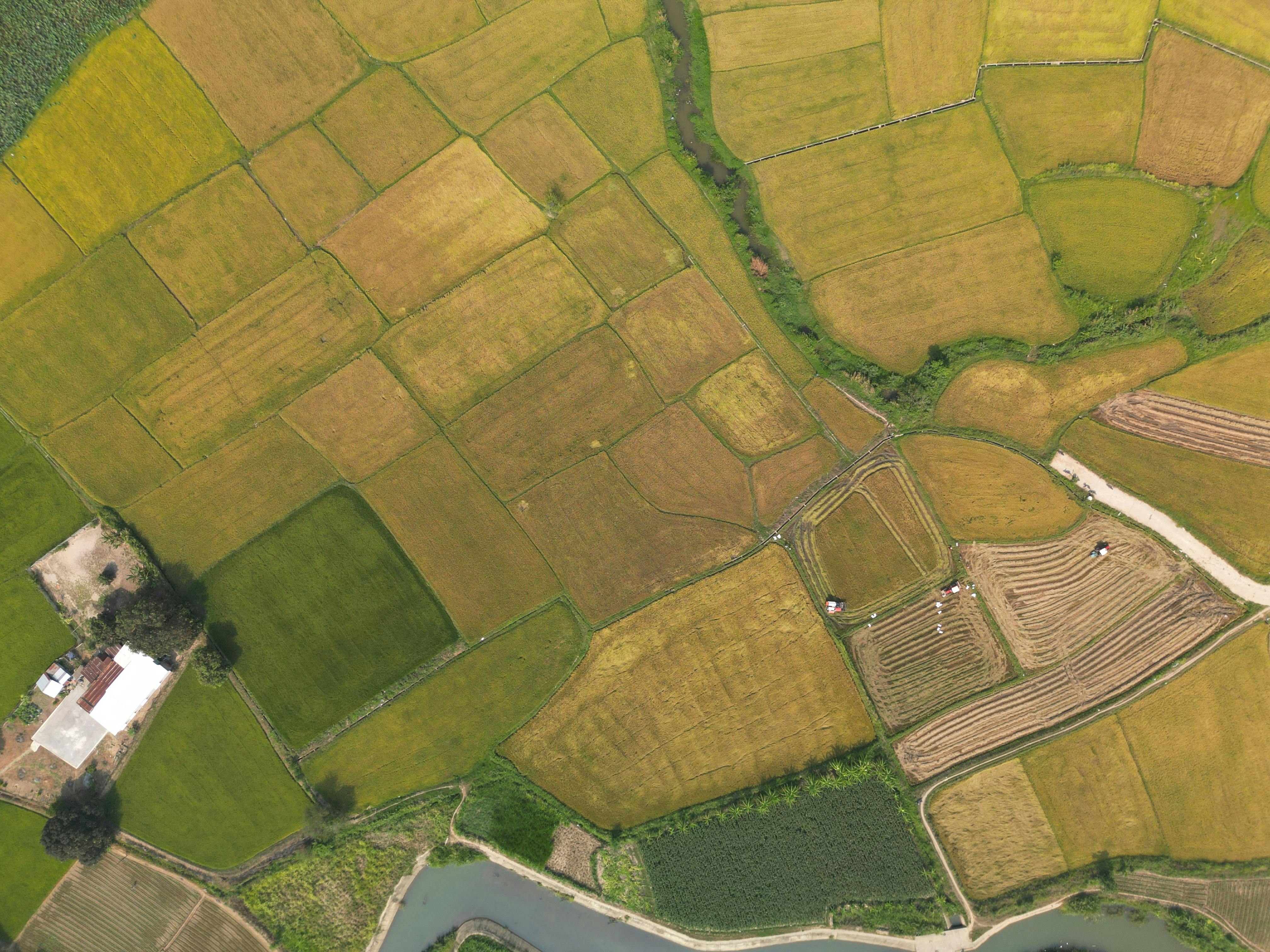 Prime Commercial Land